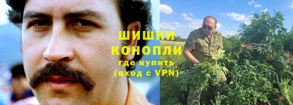 прущие крисы Белокуриха