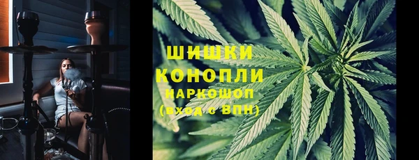 прущие крисы Белокуриха