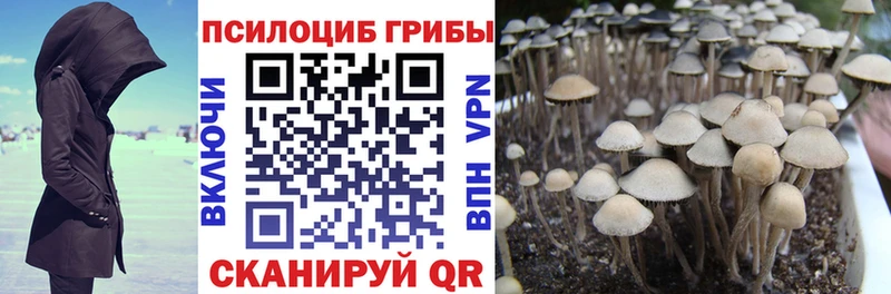 Галлюциногенные грибы ЛСД  закладки  Покровск 